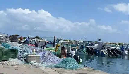 port de peche saint francois guadeloupe