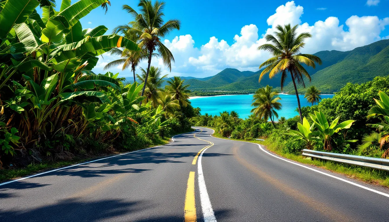 Route côtière déserte serpentant entre bananiers et cocotiers au-dessus d'une baie turquoise, en Guadeloupe
