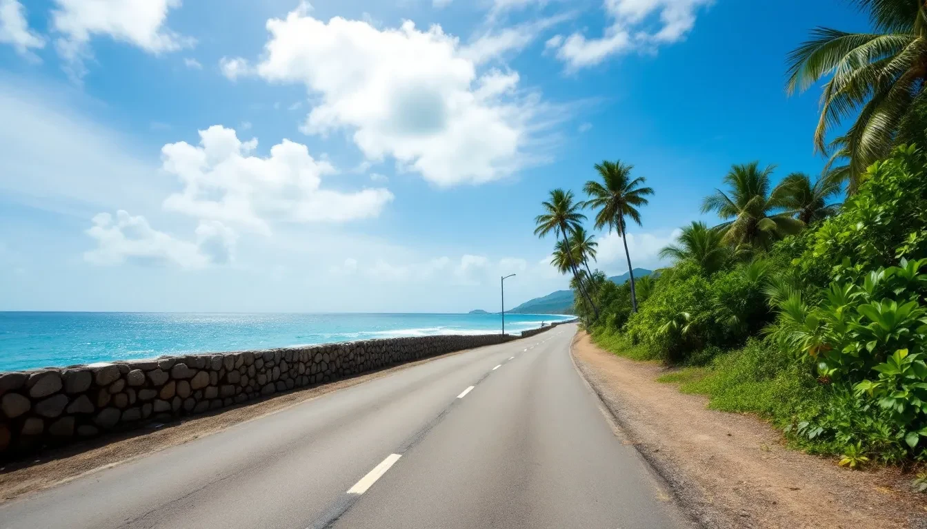 Route côtière déserte longeant la mer en Guadeloupe, bordée de cocotiers et de végétation tropicale