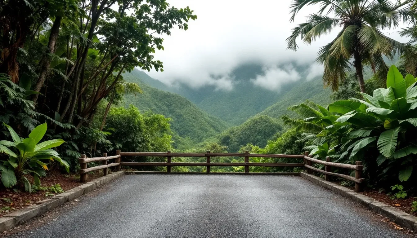 Fin de la route de montagne devant une barrière en bois, forêt tropicale et vallée brumeuse au-delà