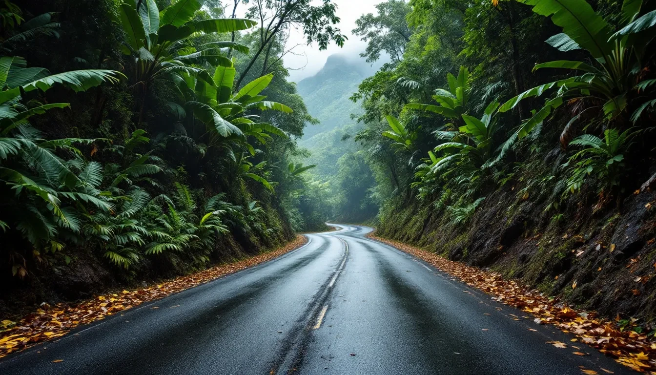 Route de montagne déserte serpentant sous la forêt tropicale humide, brume accrochée aux mornes